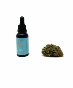 CBD Pet Products