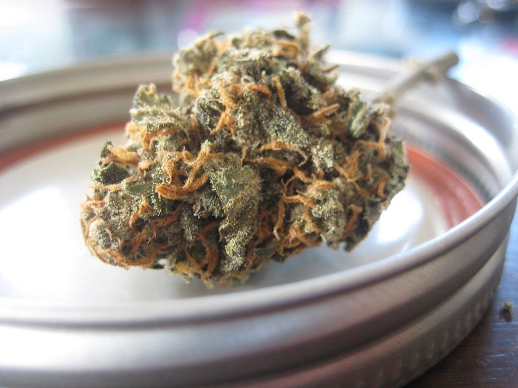 Dried Cannabis Flower