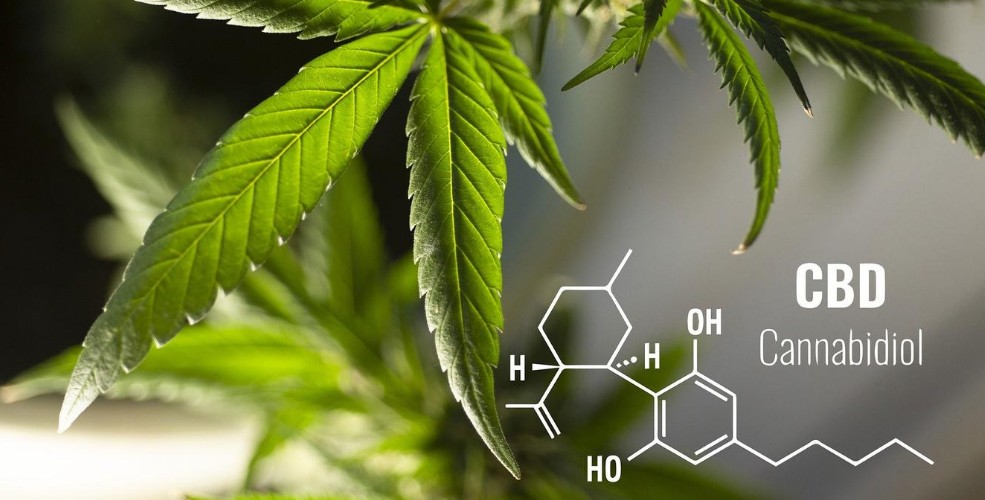 5 Benefits of Taking CBD Capsules You May Not Know