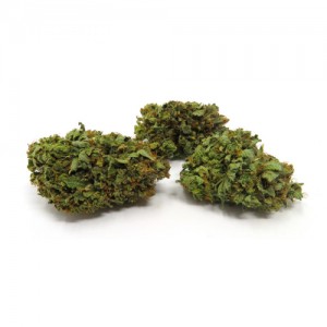 Strain Review Blue Rhino Benefits Effects Uses and more