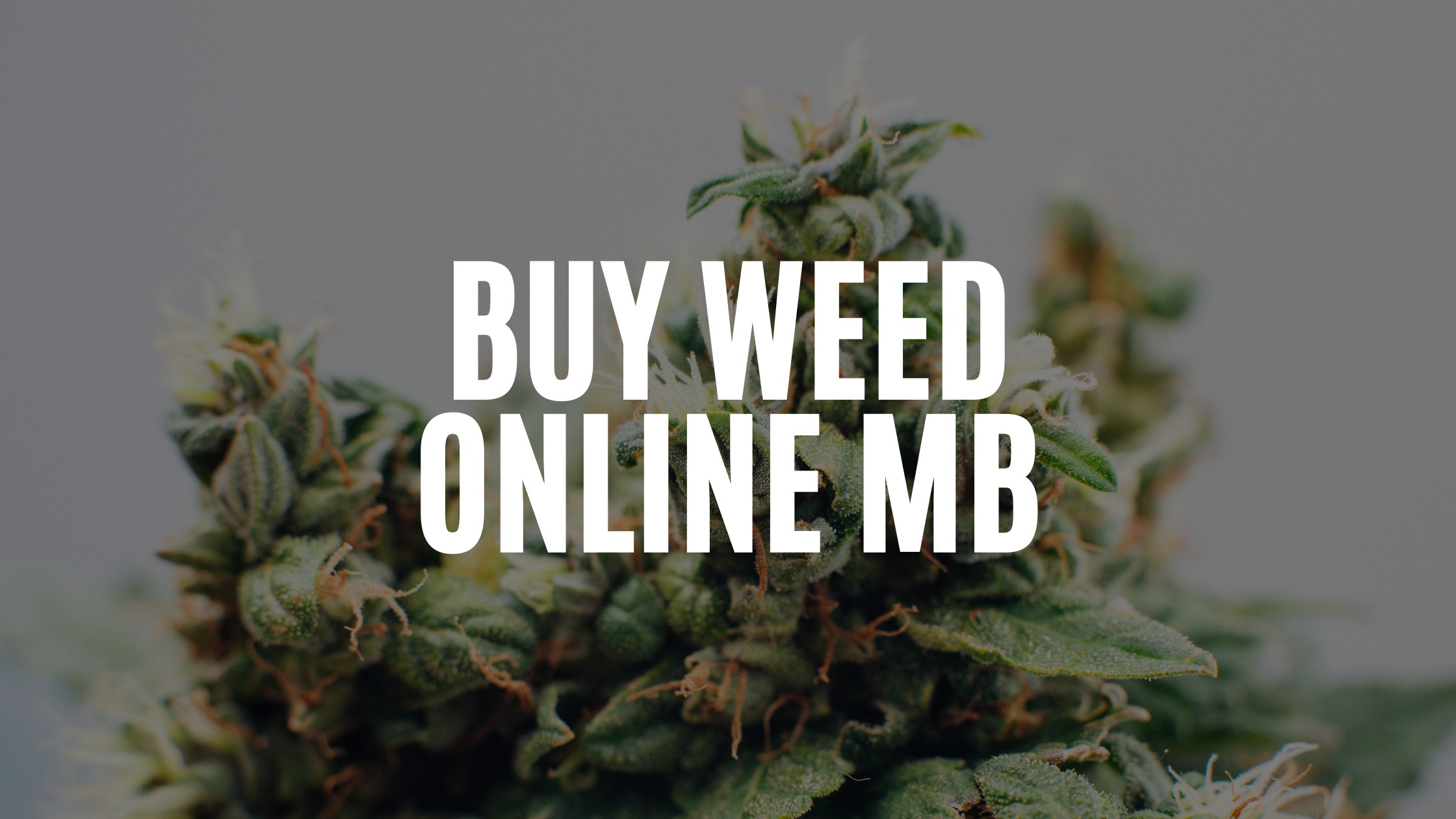 Buy Weed Online Manitoba