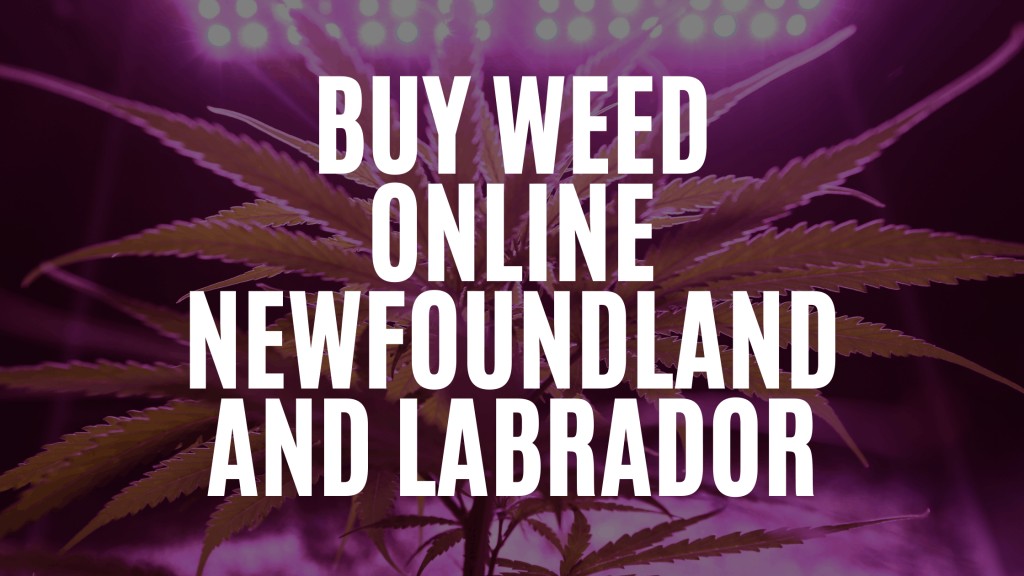 Buy Weed Online Newfoundland and Labrador