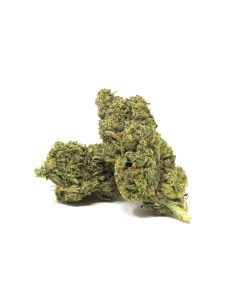 Cannabis British Columbia