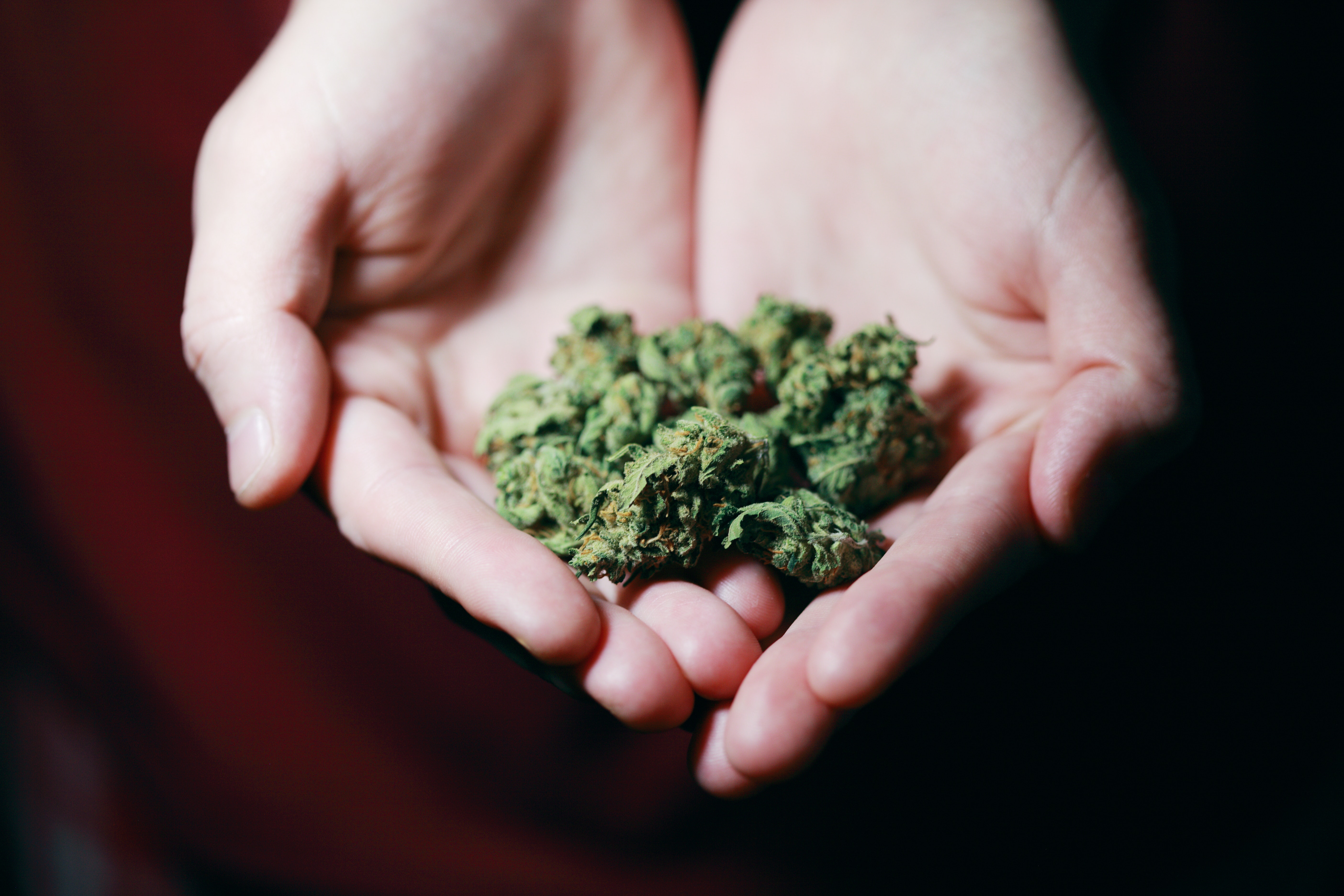 Weeds in hands