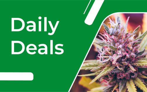 Daily-Deal