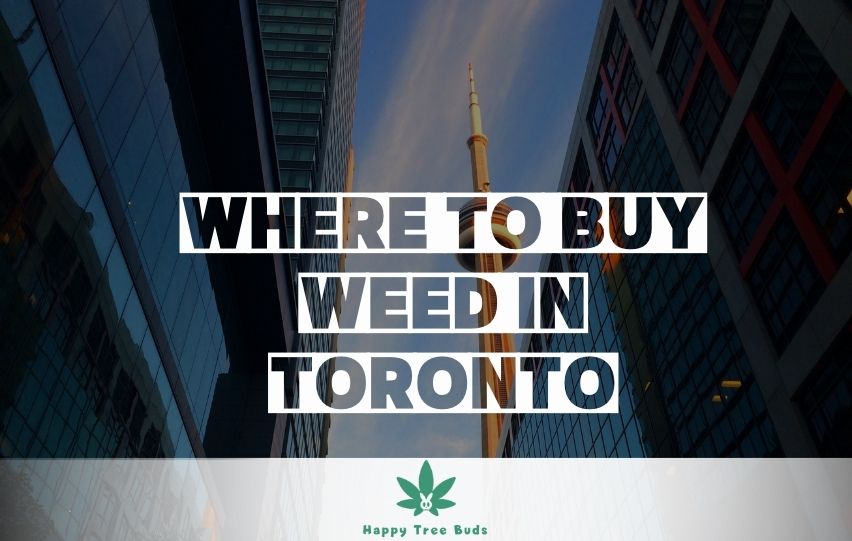 Where to buy weed in Toronto