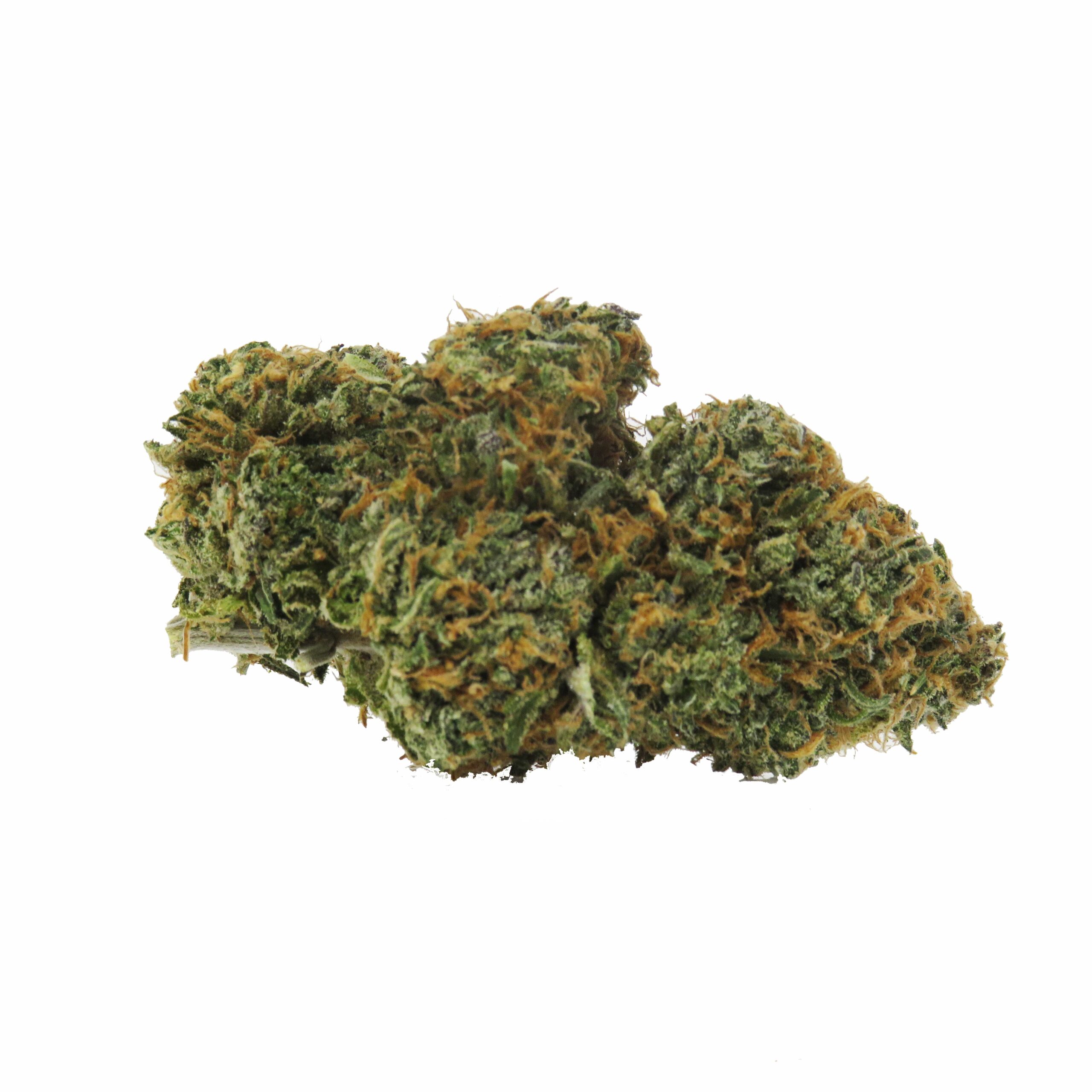 Frosted Fruit Cake Indica