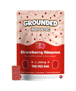 Grounded High Dose Bricks – Strawberry Hibiscus 1000mg Gummy
