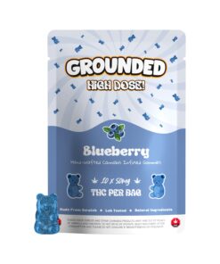 Pouches-With-Gummies_Bears-Blueberry