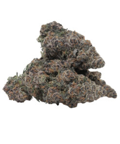 Grape Gasoline Strain
