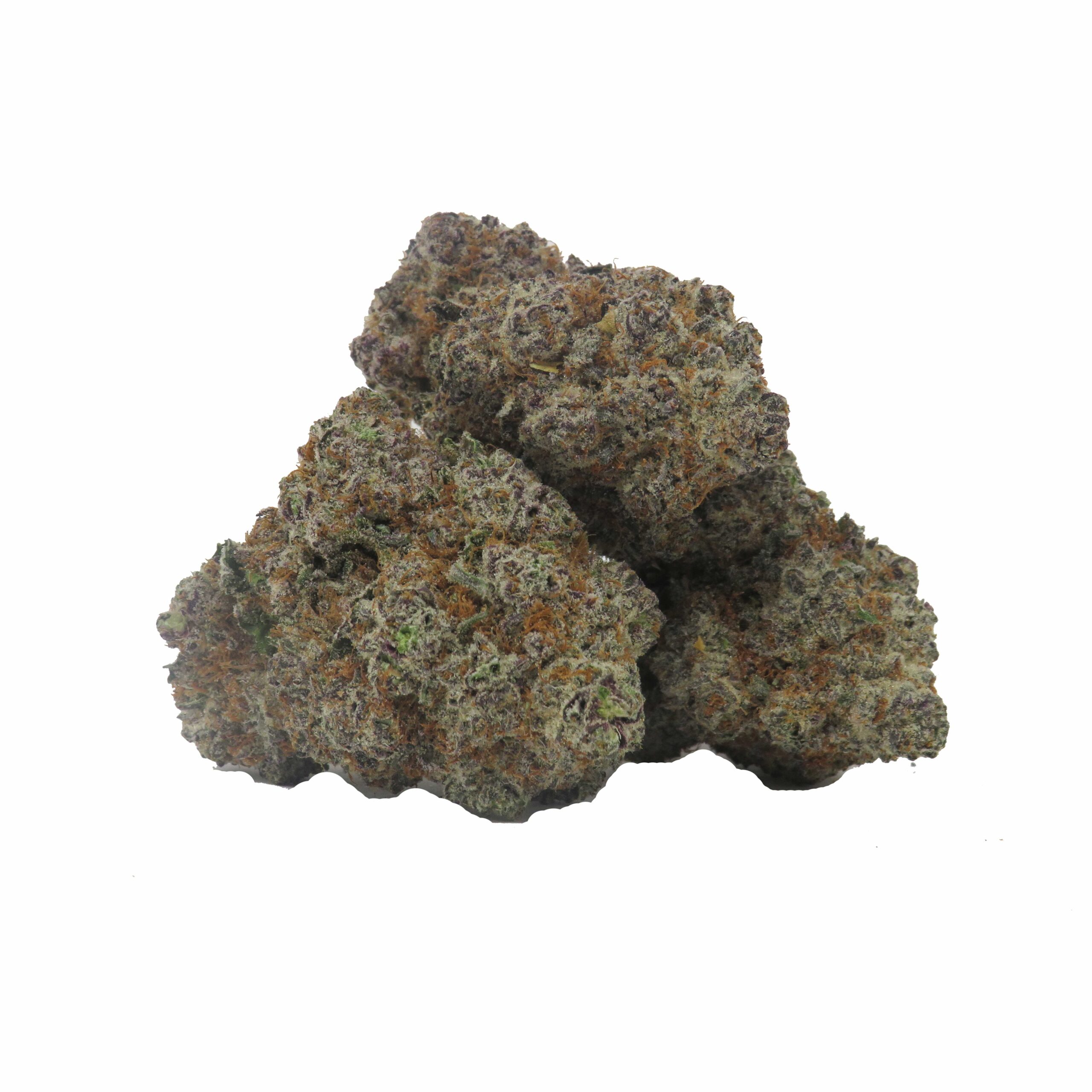 Rainbow Rozay