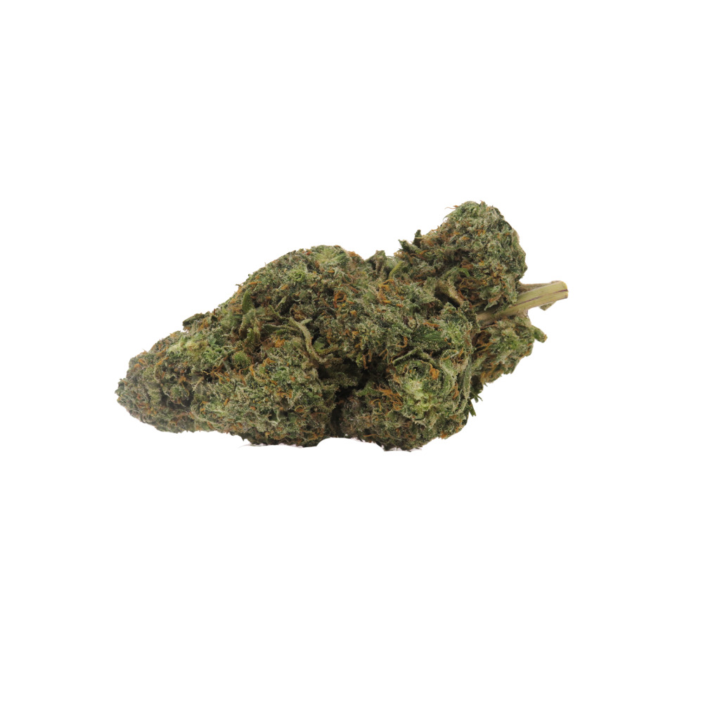 Apple Fritter